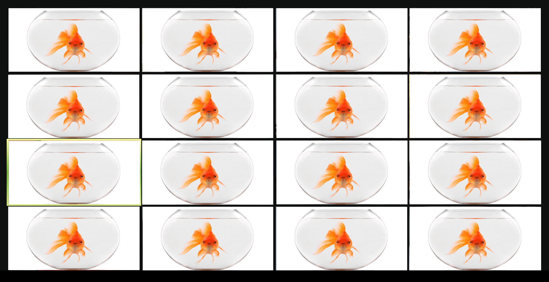 gallery of a goldfish in a fishbowl